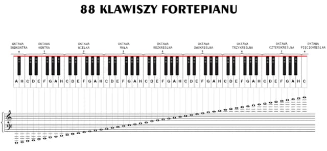 Jak się nazywają nuty? Odkryj ich znaczenie i wartości w muzyce